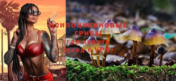 индика Балабаново