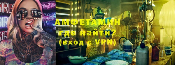 индика Балабаново