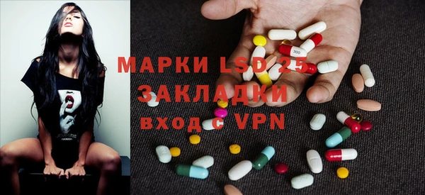 индика Балабаново