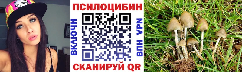 Псилоцибиновые грибы прущие грибы  mega   Зуевка 